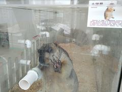 -怪兽屋·羊驼·猫咖·狗咖(俊华广场店)