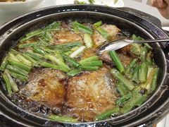 -苏启渔港(云南北路店)