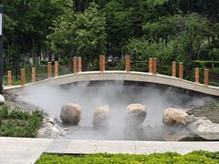-黑龙江中医药大学