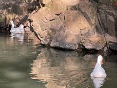 -兰亭风景区