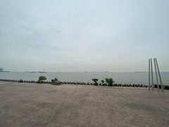 -上海滨江森林公园