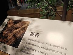-香市公园-中国沉香文化博物馆