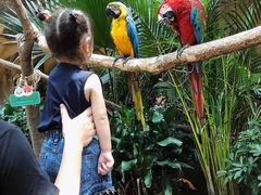 -杭州开元森泊度假乐园