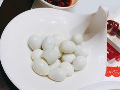 -大胖骨汤火锅(裕华店)