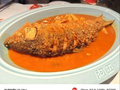 -阿五黄河大鲤鱼(纬三路店)