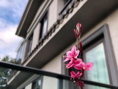 -外滩·云南人家(昆明旗舰店)