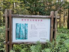-上海怡沁园度假酒店