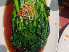-新疆兵团食府清真(马连道店)