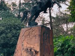 -桂湖森林公园