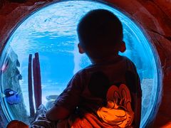 -沈阳海洋探索中心