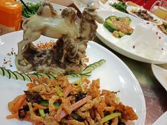 -沙洲胡杨焖饼