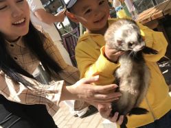 -上美四季动物农场