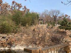 -石老人观光园