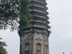 -高尔山公园