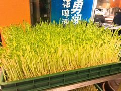-彭厨(武陵源店)