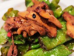 -凯鸽酒楼(大同振兴街店)