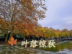 -西湖天地