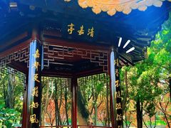 -嘉定紫藤园