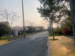-贡湖湾湿地公园