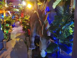 -恐龙探索乐园(磁器口店)