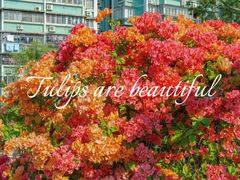 -天河客运站(地铁站)