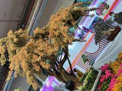 -东南花都花博园