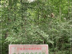 -紫霞湖公园