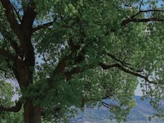 -东钱湖旅游度假区