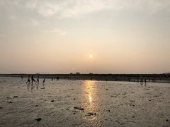 -南汇嘴观海公园