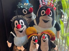 -布拉格餐厅· 中欧捷克菜(全国首店)