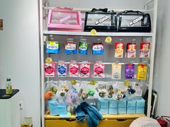 -爱洗澡的猫(望京店)