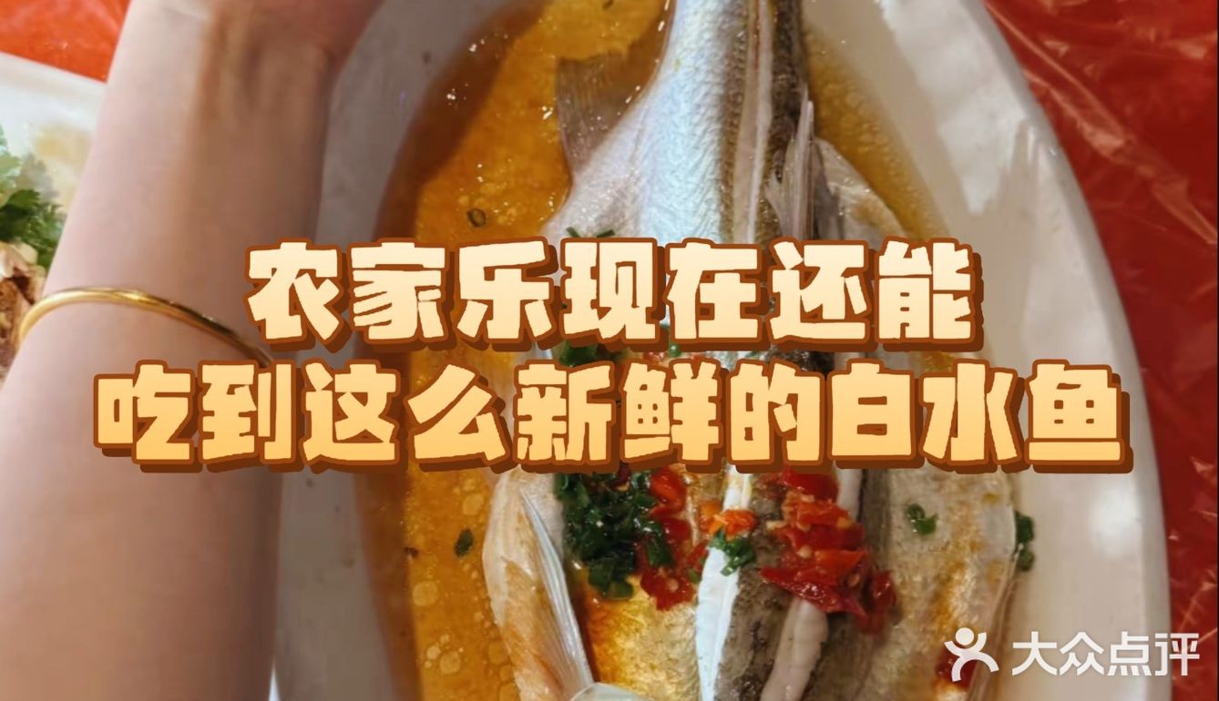 🌿崇明农家乐天花板！亲子遛娃+现摘鲜果