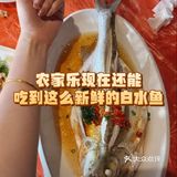 🌿崇明农家乐天花板！亲子遛娃+现摘鲜果