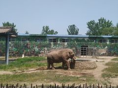 -西安秦岭野生动物园