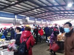 -树木岭集贸市场(劳动东路)