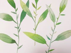 -六出私塾LiuChu•成人美术书法系统课程专业画室(熊婆婆的花园店)
