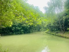 -同里国家湿地公园
