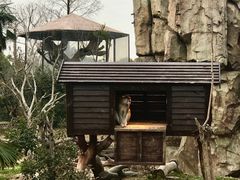 -上海野生动物园