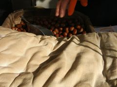 -黑孩油栗皇(南阳路店)