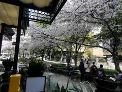 -玛格萝妮比萨屋(四平店)