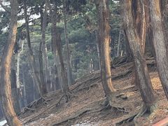 -沈阳森林动物园