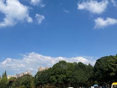 -青枫公园