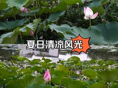 -竹西公园
