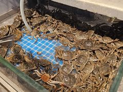 -一方渔歌蒸汽海鲜自助(文化路万达广场店)