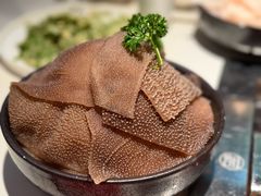 精品脆毛肚-宽来·欢聚火锅(来福士广场水景店)