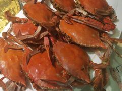 -蓬川食府(金海道店)