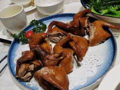 红烧乳鸽-光明招待所(邦凯科技园店)