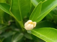 -宜昌富力皇冠假日酒店·咖啡1号西餐厅