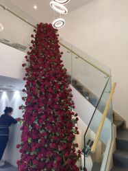 -春田皮肤管理中心品牌旗舰店