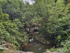 -大雁山风景区